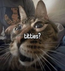 Titties? Meme Template