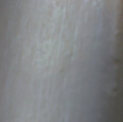 wall at my house Meme Template