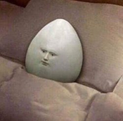 Egg in bed Meme Template