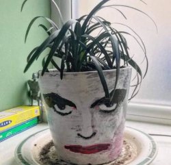 Robert smith plant Meme Template