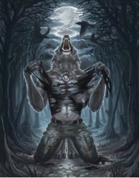 how bro felt after saying that wolf Meme Template