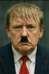 Trump hates being called a Nazi - Hitler Meme Template