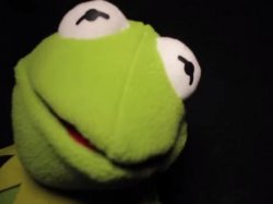 Kermit - None Of My Business Meme Template