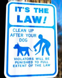 Clean Up After Dog Sign Meme Template