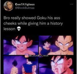 some toei facts Meme Template