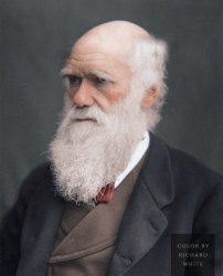 Charles Darwin Meme Template