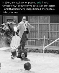 Racist pool Meme Template