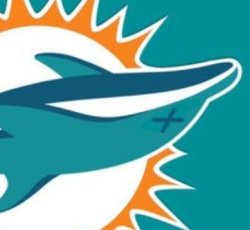 Dead dolphins Meme Template