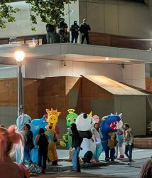 Trump and Stephen Miller say Portland needs the military. No. Meme Template