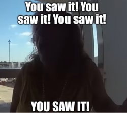 Terre Ann Bluse Meme Template