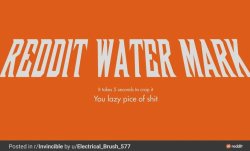 Reddit watermark you lazy piece of shit Meme Template