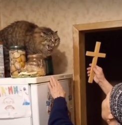 cat and cross Meme Template