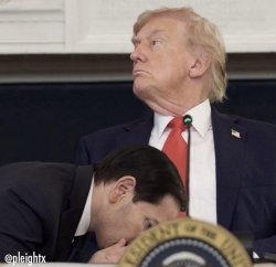Pleasing Trump Meme Template