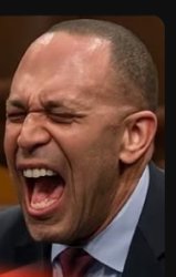 Hakeem Jefferies shouting Meme Template