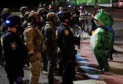 Portland frog faces feds Meme Template