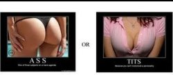 Ass or tits Meme Template