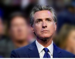 Gavin Newsom phony Meme Template