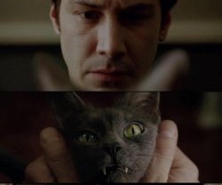 Cats Are Good Meme Template