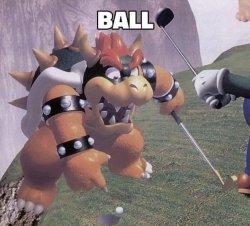 Bowser Ball Meme Template