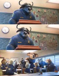 We need to acknowledge the Elephant in the room Meme Template