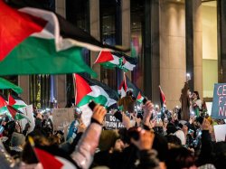 Palestine protestors Meme Template