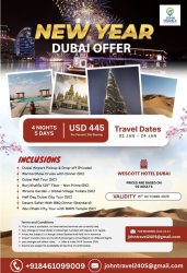 Dubai Package Meme Template
