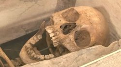 skeleton Meme Template