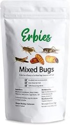 Mixed Bugs Meme Template