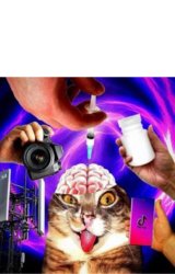 Brainwashed Meme Template