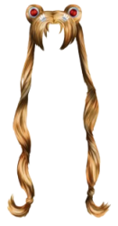 Sailor Moon Hair Meme Template