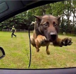 Chrisjoines1 Meme Template