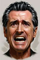 Gavin Newsom crying Meme Template