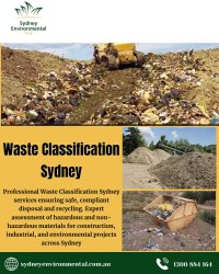 Waste Classification Sydney Meme Template