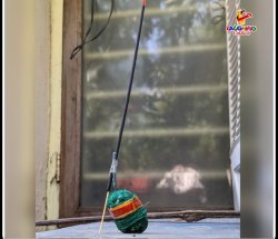 Nobody knows Meme Template