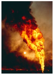 Greed on fire Meme Template