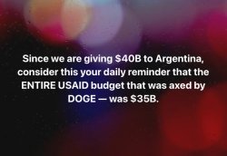 Argentina DOGE USAID Meme Template