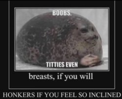 boobs demotivational Meme Template