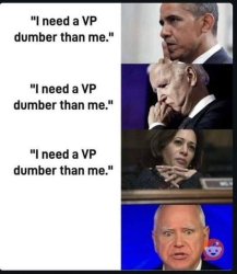 Shit Rolls Downhill Meme Template