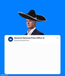 Gavin Newsom Sombrero template Meme Template