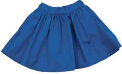 Blue skirt Meme Template