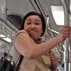 I don't care Meme Template