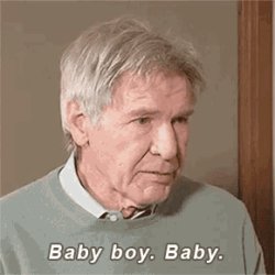 Baby Boy Harrison Ford Meme Template