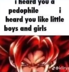 i heard you a pedophile (no n word) Meme Template