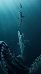 Bigger Shark Meme Template