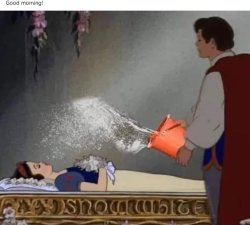 Prince charming pours water on sleeping beauty Meme Template