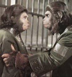 Planet of the Apes Meme Template