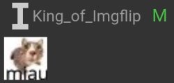 miau Meme Template
