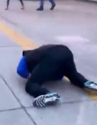 MAGA faceplant Meme Template