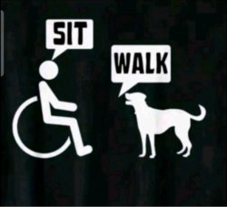 Wheelchair Meme Template