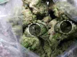 Staring Weed Meme Template